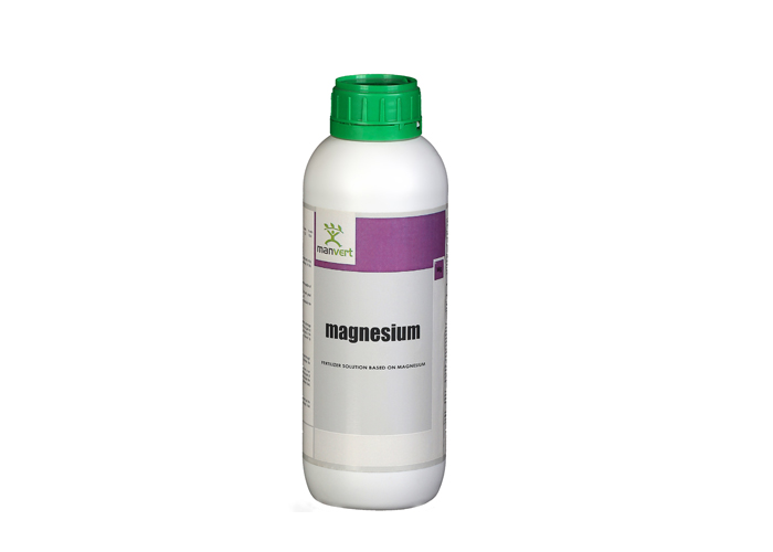 magnesium 1