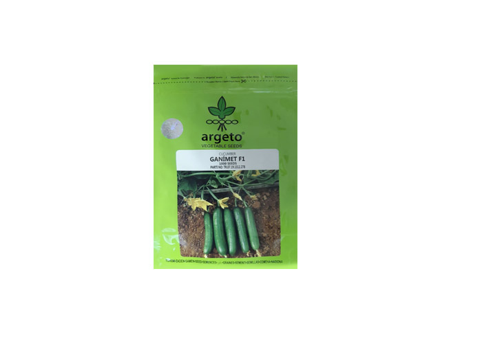 ghanimet cucumber