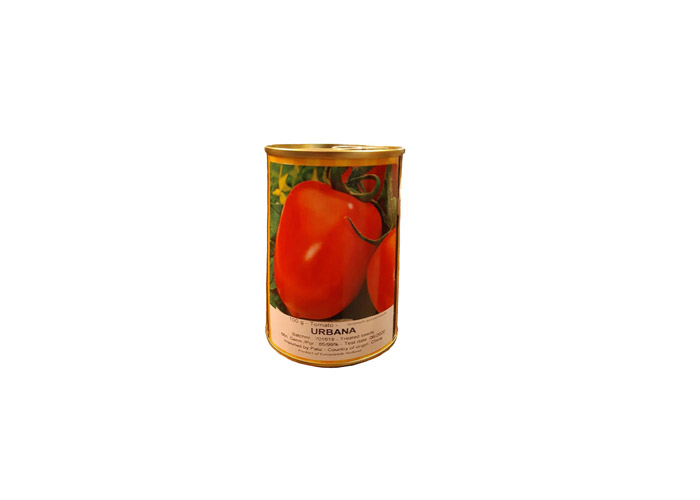 tomato9
