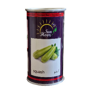 بذر کدو خورشتی هورسان بذر(100گرمی)