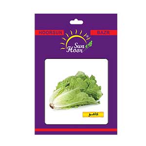 بذر کاهو هورسان بذر ایران