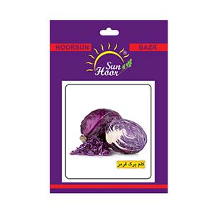 بذر کلم برگ قرمز هورسان بذر ایران