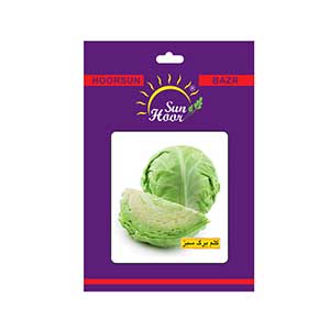 بذر کلم برگ سبز هورسان بذر ایران