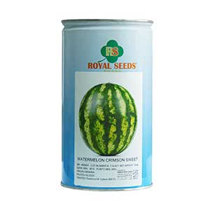 بذر هندوانه کريمسون رويال سيد ايتاليا