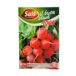 بذر تربچه سایس ایتالیا