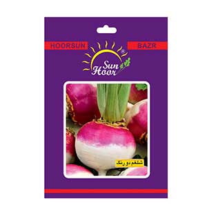 بذر شلغم  دو رنگ هورسان بذر ایران