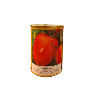 بذر گوجه فرنگی اوربانا پروسید هلند